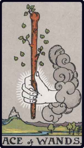 Ace of Wands tarot card, Rider-Waite-Smith